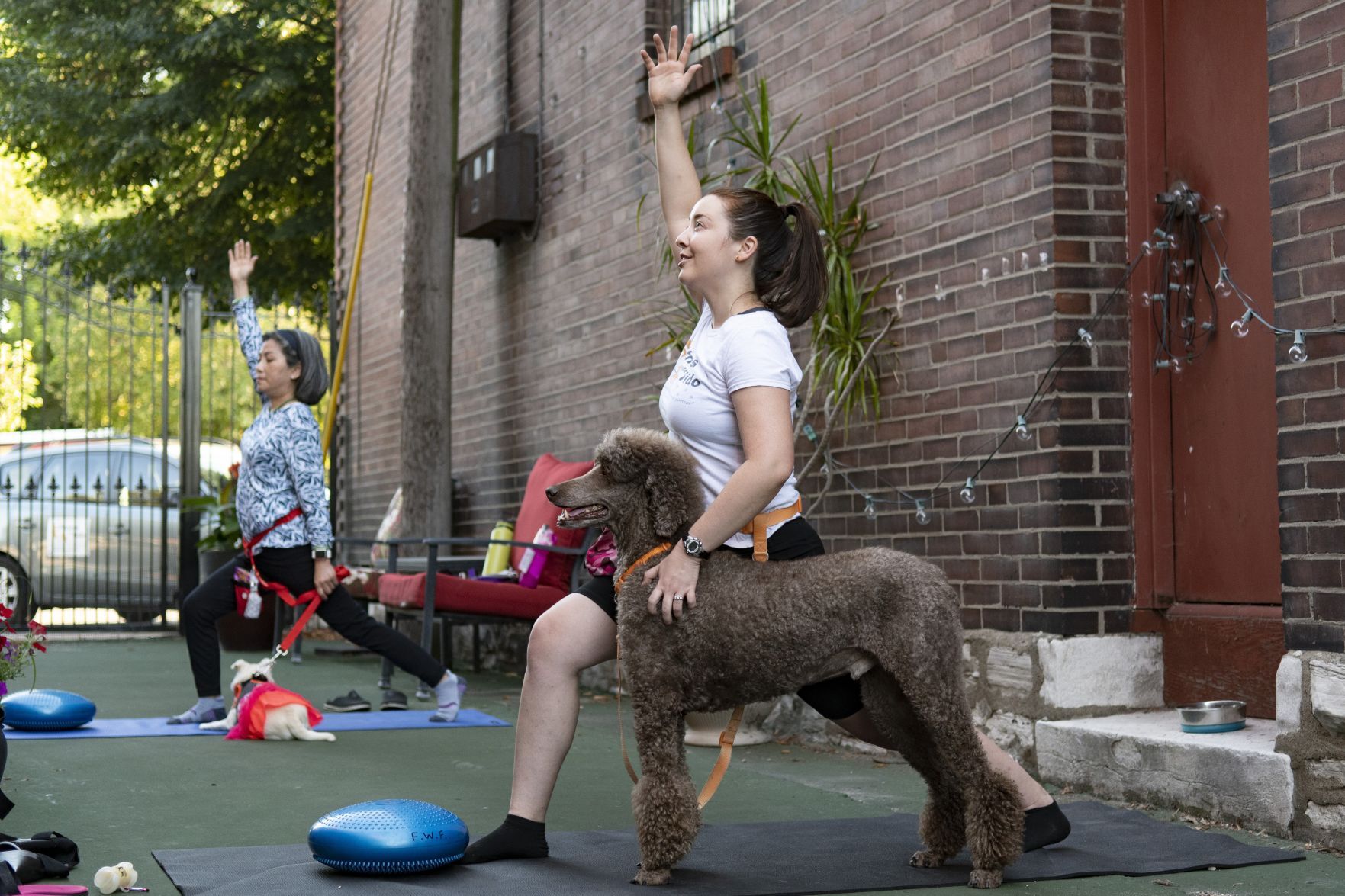 'Yappy Hour Yoga' combines pets with fitness